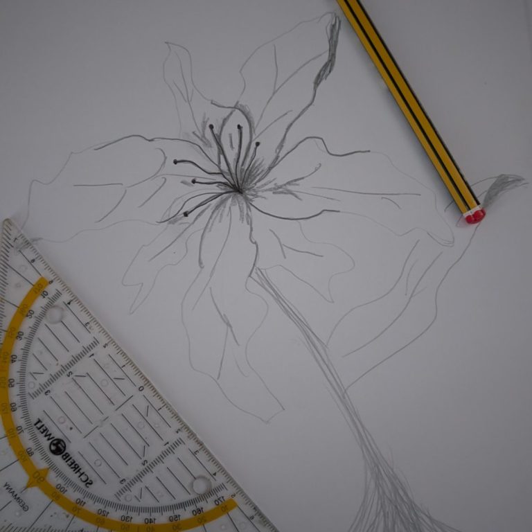 Skizze einer Blume mit Bleistift und Zeichenwerkzeugen auf einem weißen Blatt Papier.